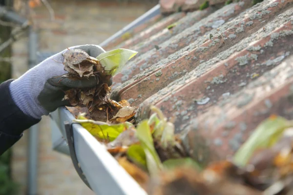 Gutter Cleaning photo 4