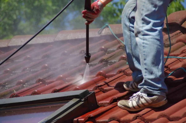 Roof Cleaning photo 5