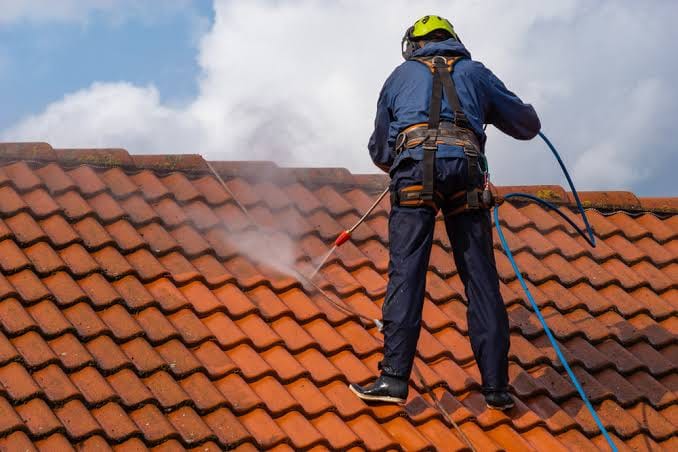 Roof Cleaning photo 2