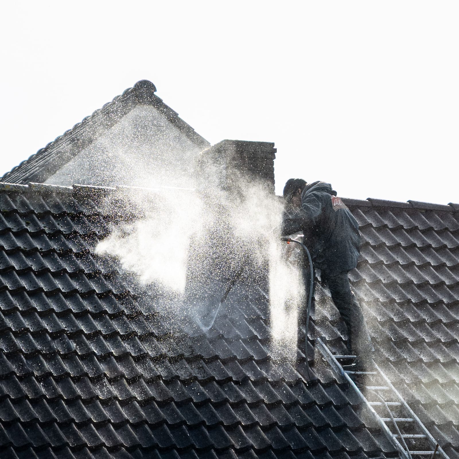 Roof Cleaning photo 3